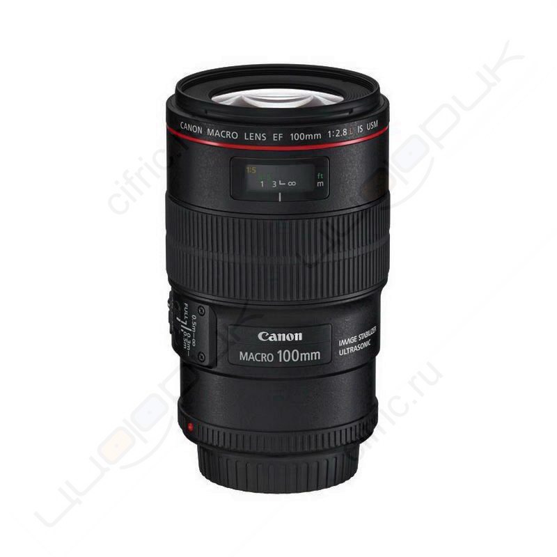 Canon EF 100mm f/2.8L Macro IS USM