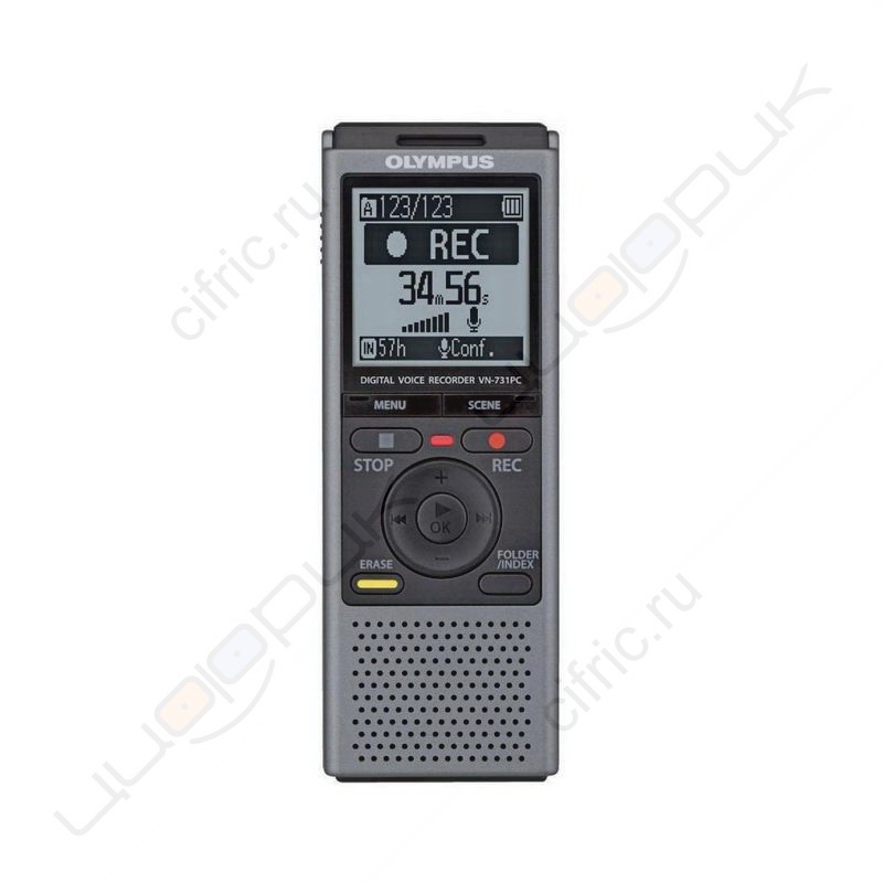 Olympus VN-731PC
