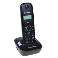 Panasonic KX-TG1611RUH