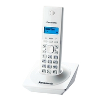 Panasonic KX-TG1711RUW