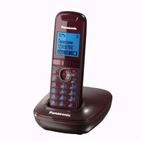 Panasonic KX-TG5511RUR